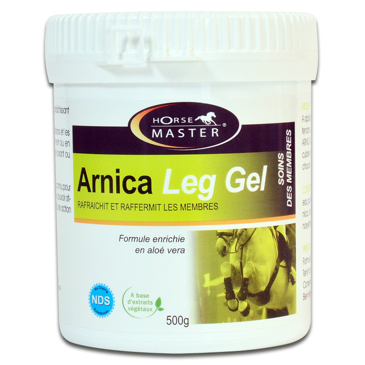 Arnica Beenengel Horse Master Arnica Beenengel Horse Master