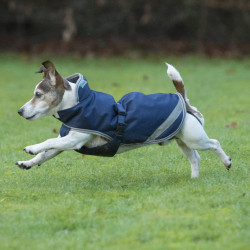 Honden deken Bucas Freedom 150g Honden deken Bucas Freedom 150g