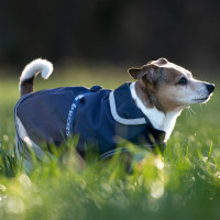 Honden deken Bucas Freedom 150g Marineblauw Honden deken Bucas Freedom 150g Marineblauw