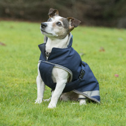 Honden deken Bucas Freedom 150g Honden deken Bucas Freedom 150g