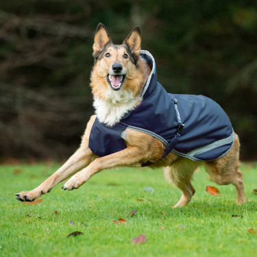 Honden deken Bucas Freedom 150g Honden deken Bucas Freedom 150g