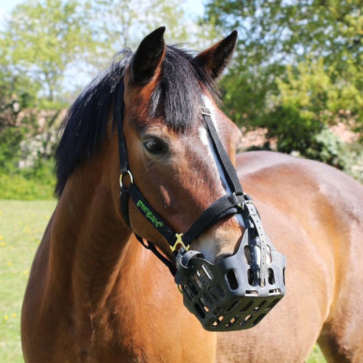 Greenguard mand Greenguard mand