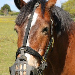 Greenguard mand Greenguard mand