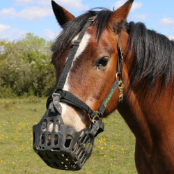 Greenguard mand Greenguard mand
