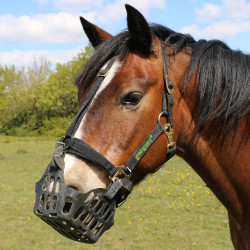 Greenguard mand Greenguard mand