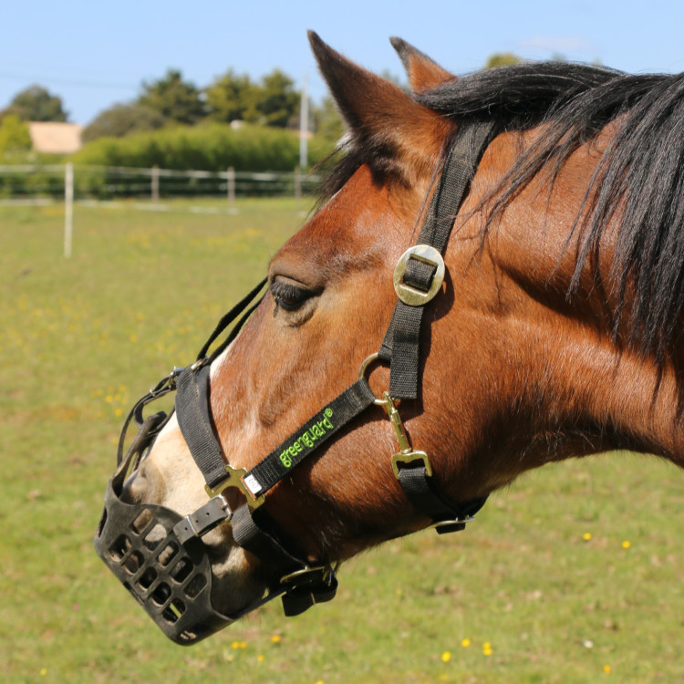 Greenguard mand Greenguard mand