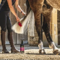 Lotion crinière et queue Canter® Carr & Day & Martin