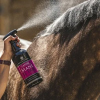 Lotion crinière et queue Canter® Carr & Day & Martin