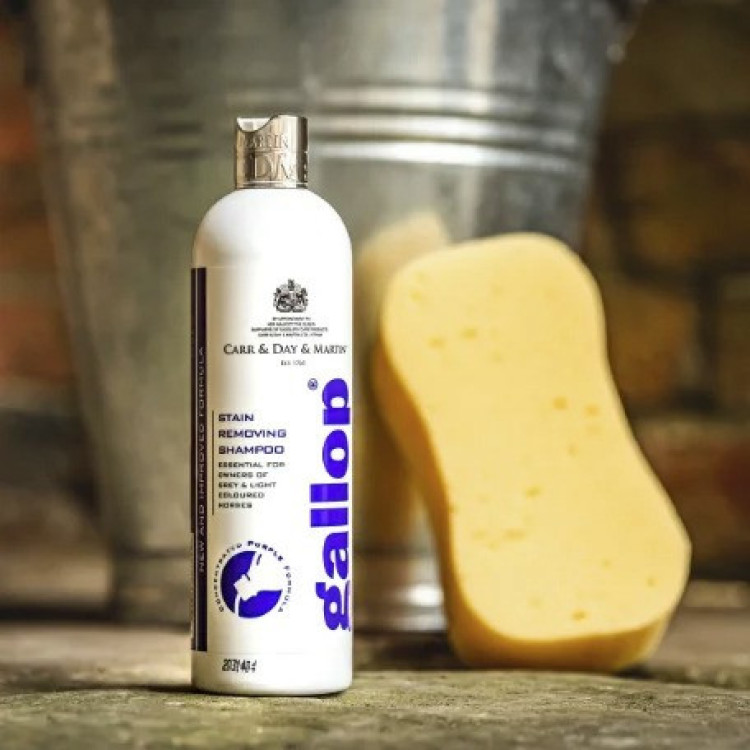 Vlekverwijderende shampoo Gallop® Carr & Day & Martin Vlekverwijderende shampoo Gallop® Carr & Day & Martin