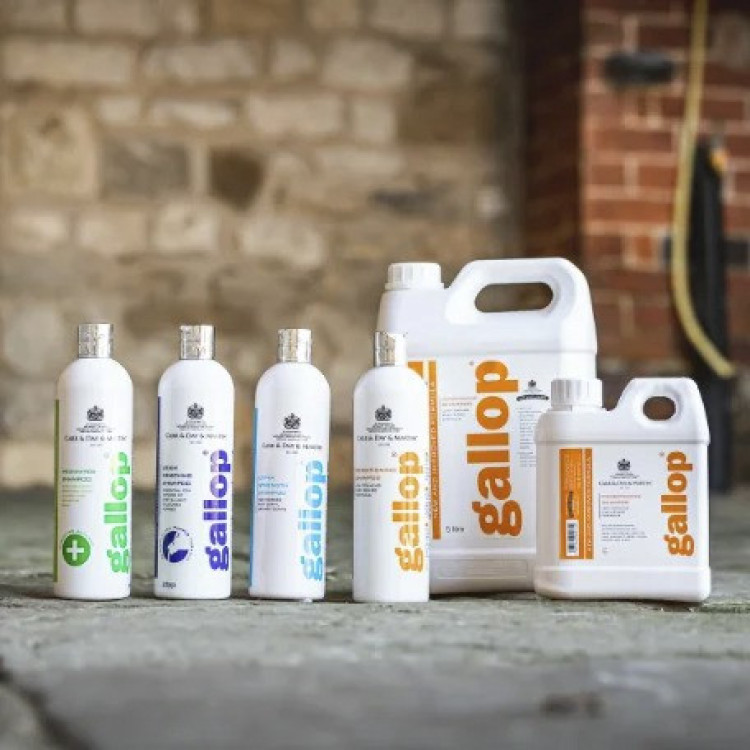 Vlekverwijderende shampoo Gallop® Carr & Day & Martin Vlekverwijderende shampoo Gallop® Carr & Day & Martin