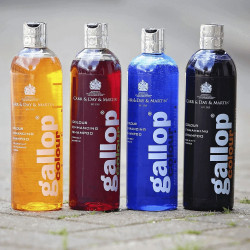 Gallop® Shampoo Carr & Day & Martin Hazelnoot en palomino Gallop® Shampoo Carr & Day & Martin Hazelnoot en palomino