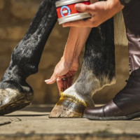 Pommade pour sabots Carr & Day & Martin Cornucrescine Pommade pour sabots Carr & Day & Martin Cornucrescine