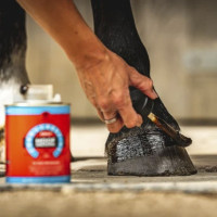 Huile pour sabots Carr & Day & Martin Hoof Dressing Cornucrescine Huile pour sabots Carr & Day & Martin Hoof Dressing Cornucrescine