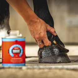 Huile pour sabots Carr & Day & Martin Hoof Dressing Cornucrescine