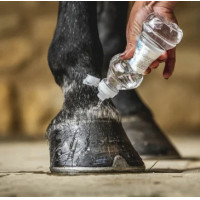 Huile pour sabots Carr & Day & Martin Daily Hoof Barrier Cornucrescine Huile pour sabots Carr & Day & Martin Daily Hoof Barrier Cornucrescine