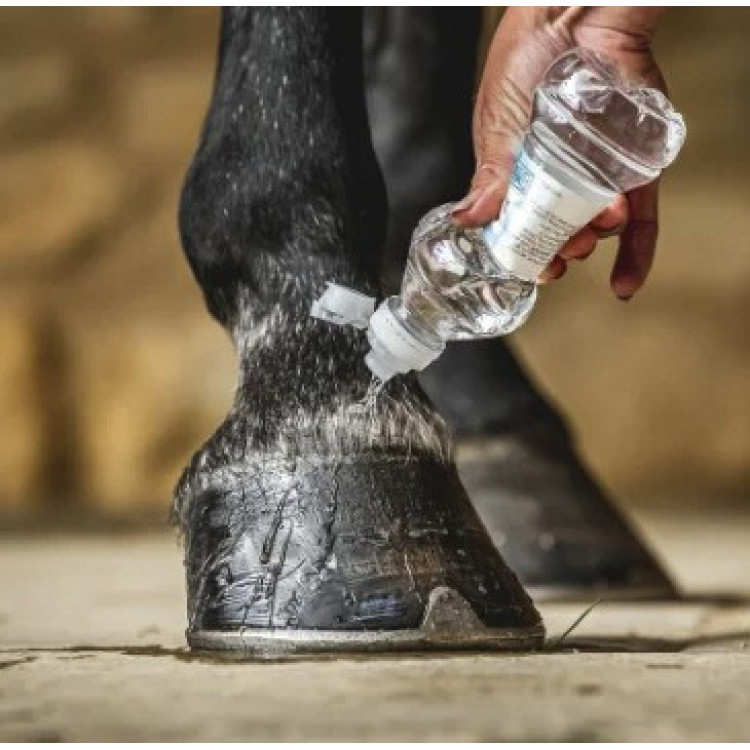 Olie voor hoeven Carr & Day & Martin Daily Hoof Barrier Cornucrescine Olie voor hoeven Carr & Day & Martin Daily Hoof Barrier Cornucrescine