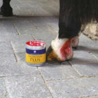 Crème de protection Carr & Day & Martin Protection Plus Crème de protection Carr & Day & Martin Protection Plus