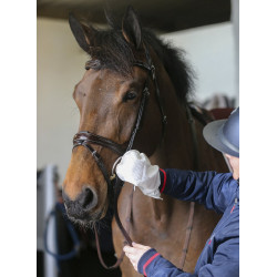 Reinigingshandschoenen Belvoir® Carr & Day & Martin Tack Cleaner Reinigingshandschoenen Belvoir® Carr & Day & Martin Tack Cleaner