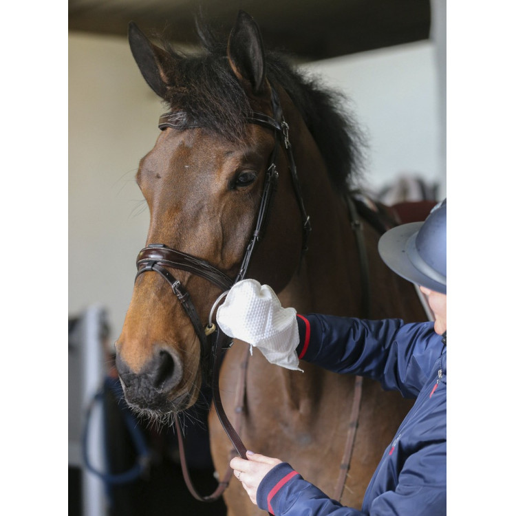Reinigingshandschoenen Belvoir® Carr & Day & Martin Tack Cleaner Reinigingshandschoenen Belvoir® Carr & Day & Martin Tack Cleaner