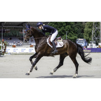 LeMieux Prosport close contact vierkant zadeldek - katoen Wit