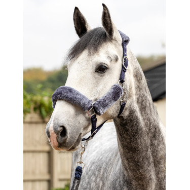 Halster LeMieux Comfort Marine / grijs Blauw Halster LeMieux Comfort Marine / grijs Blauw