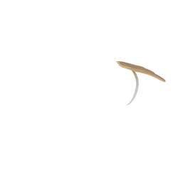 Vleugels voor Mini Pony speelgoed LeMieux Goudkleurig