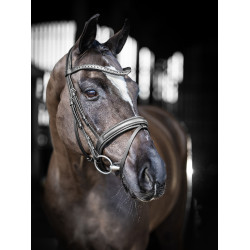 LeMieux Arika dressuur hoofdstel LeMieux Arika dressuur hoofdstel