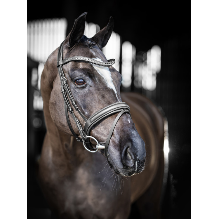 LeMieux Arika dressuur hoofdstel LeMieux Arika dressuur hoofdstel