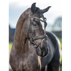 LeMieux Arika dressuur hoofdstel LeMieux Arika dressuur hoofdstel