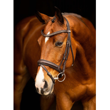 LeMieux Arika dressuur hoofdstel Bruin / zilver LeMieux Arika dressuur hoofdstel Bruin / zilver