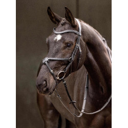 Bridon LeMieux Arika kruisneusriem Zwart / zilver