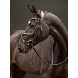 Bridon LeMieux Arika kruisneusriem Zwart / zilver
