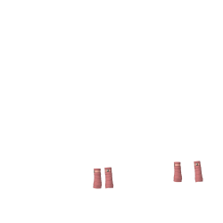 Polo bandages Loire LeMieux Roze orchidee Polo bandages Loire LeMieux Roze orchidee