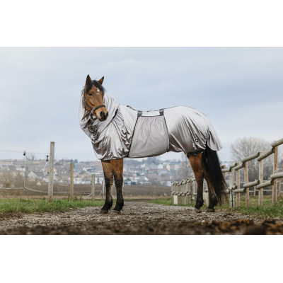 Anti-eczeem hemd Riding World Grijs
