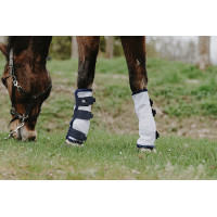 Vliegenbeschermers Riding World per 4 Wit