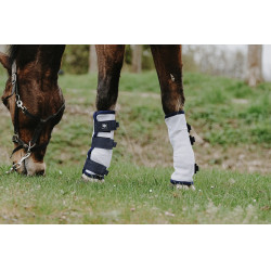 Vliegenbeschermers Riding World per 4 Vliegenbeschermers Riding World per 4