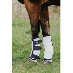 Vliegenbeschermers Riding World per 4 Vliegenbeschermers Riding World per 4