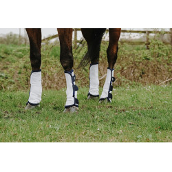 Vliegenbeschermers Riding World per 4 Vliegenbeschermers Riding World per 4