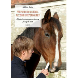 Uw Paard Voorbereiden op Dierenartszorg Vigot
