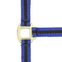 Nylon halster met lederen voering Norton Blauw / zwart