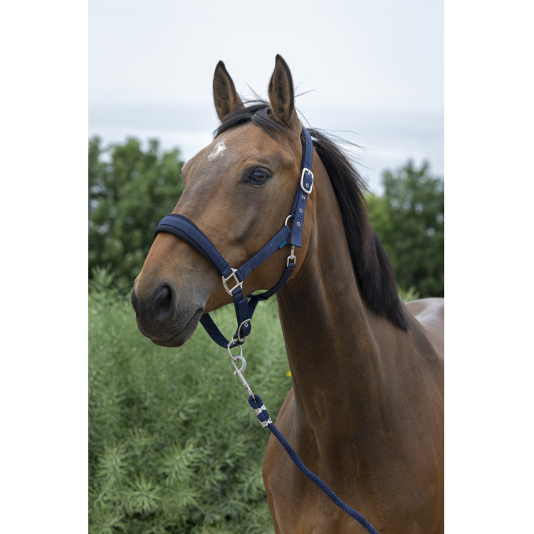 Halster + leadrope Norton Large Halster + leadrope Norton Large