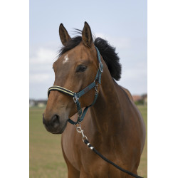 Halster Equithème Nylon Chevron Halster Equithème Nylon Chevron