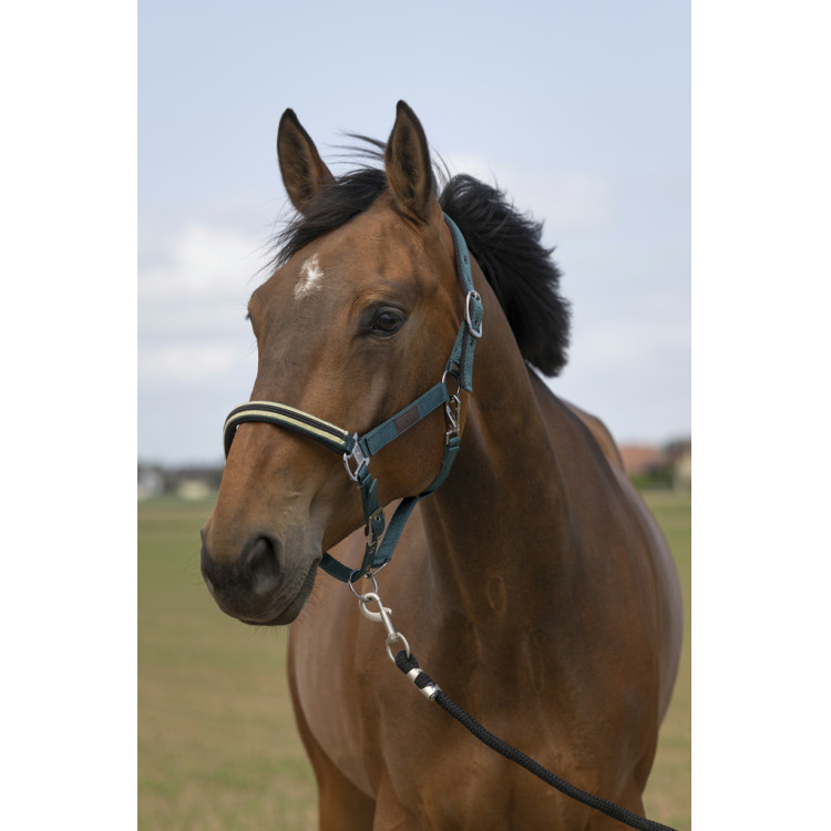 Halster Equithème Nylon Chevron Halster Equithème Nylon Chevron