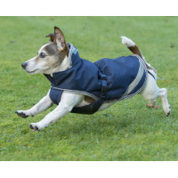 Hondenhoes Bucas Freedom 300g Marineblauw