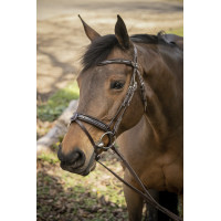 Bridon Pénélope Smoothie Havana Bruin Bridon Pénélope Smoothie Havana Bruin