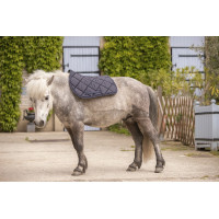 Paddock Sports Prems Zadeldek Zwart Paddock Sports Prems Zadeldek Zwart
