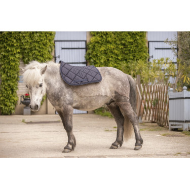 Paddock Sports Prems Zadeldek Paddock Sports Prems Zadeldek