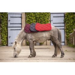 Paddock Sports Prems Zadeldek Paddock Sports Prems Zadeldek