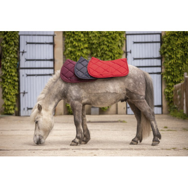 Paddock Sports Prems Zadeldek Paddock Sports Prems Zadeldek