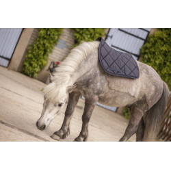 Paddock Sports Prems Zadeldek Paddock Sports Prems Zadeldek